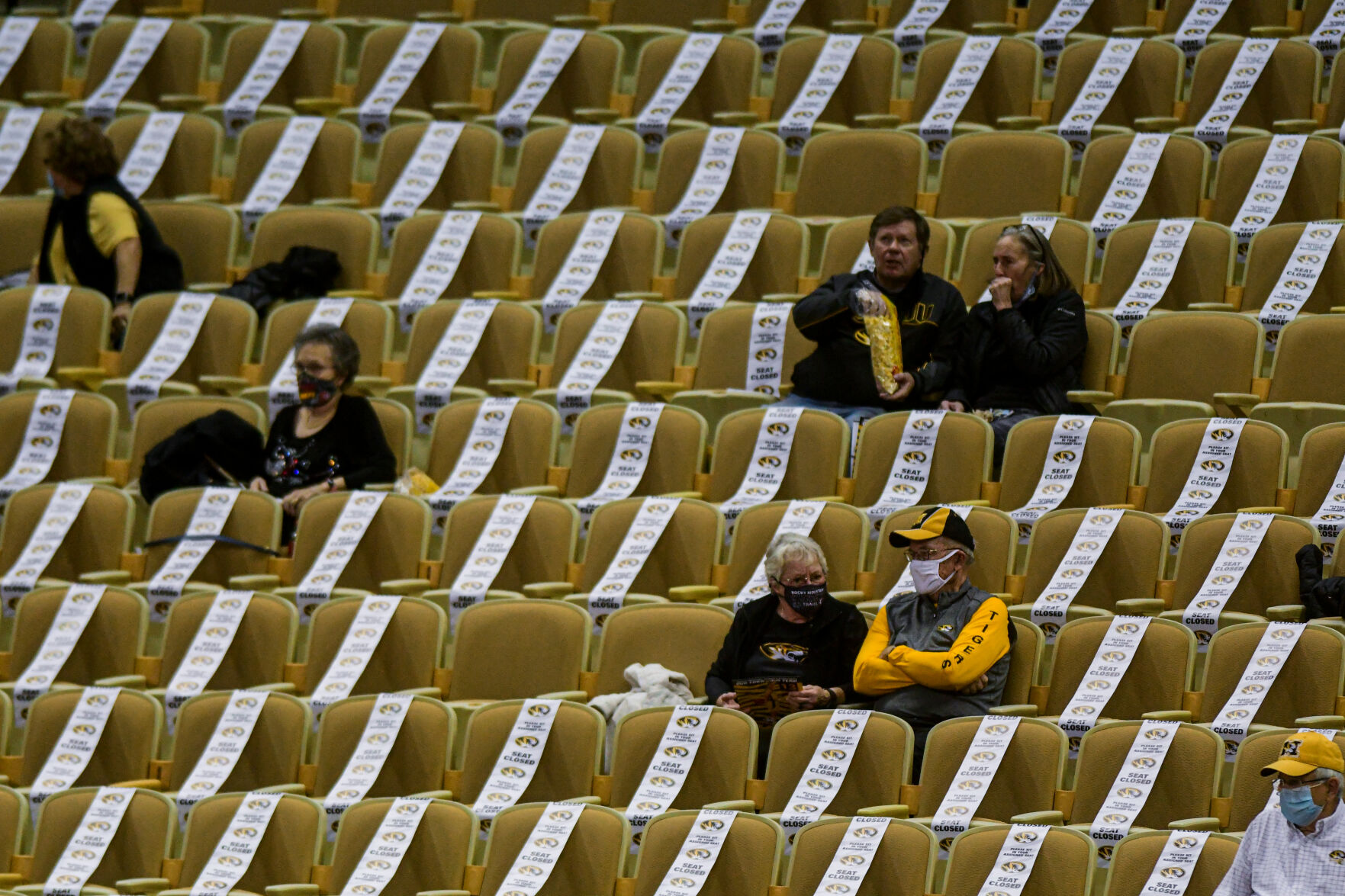 Fans watch Missouri play against Alabama